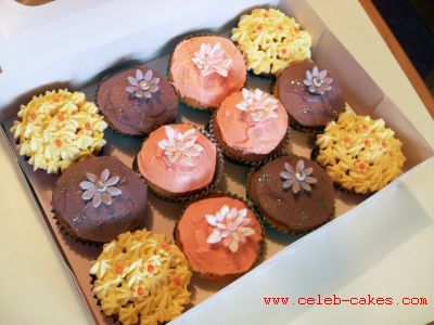 Cupcakes1a