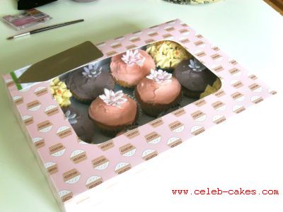 Cupcakes2a