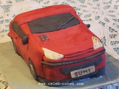 Pug206b
